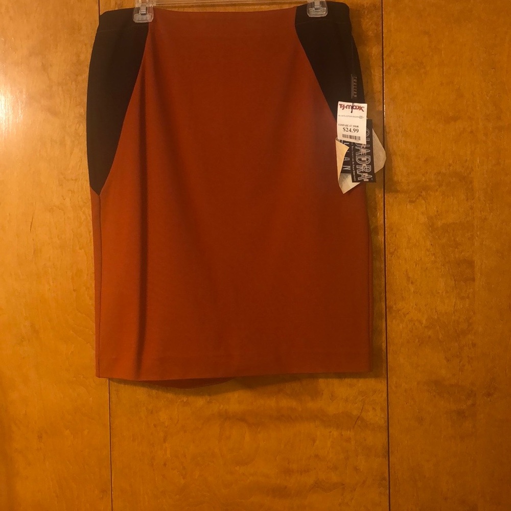 Never worn Rust w/Black Stretch Fabric - Picture 3 of 4